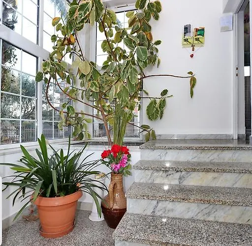 Dalmatia Apartmán *