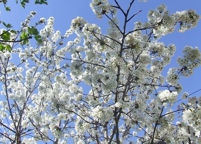 Daire Dalmatia Zadar